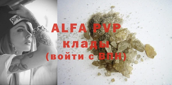 гашик Алексин