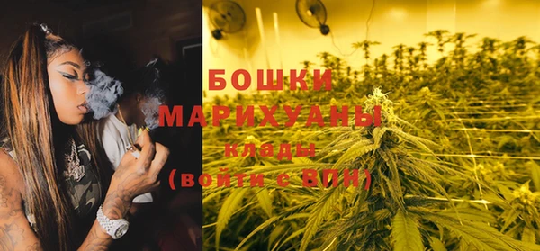 PSILOCYBIN Абдулино