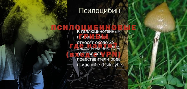 a pvp Абаза