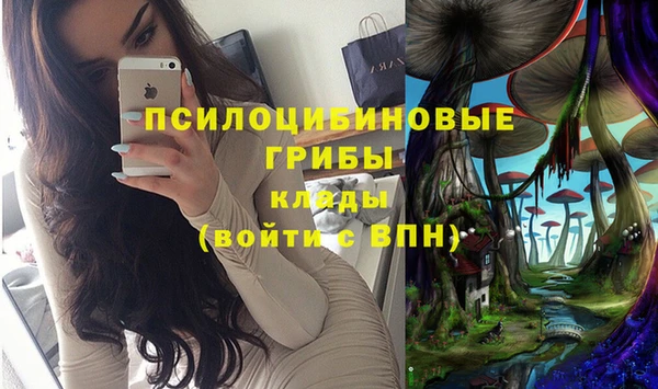 PSILOCYBIN Абдулино