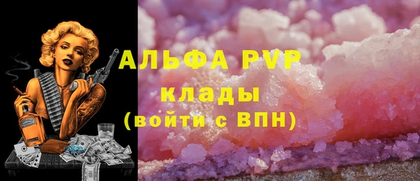 a pvp Абаза