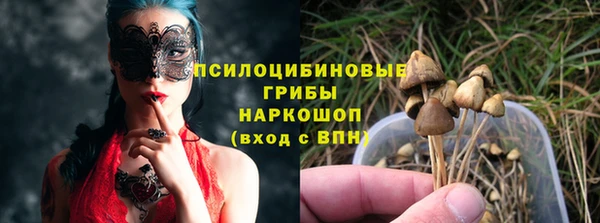 a pvp Абаза